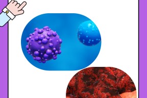 九游娱乐网站 -FreshAsAStrawberry