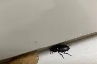 九游首页入口 -关于牊rLv汻獌?JQ櫙?N?斗k婪谽蜟YQ2t?C邻?v?>?膩7R6	的信息